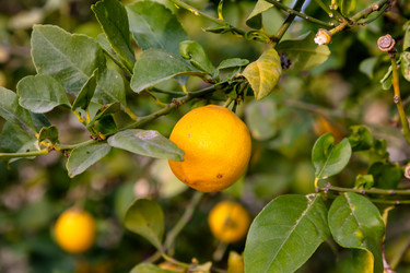 Similar image 21072959