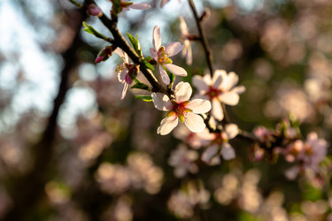 Similar image 21072961