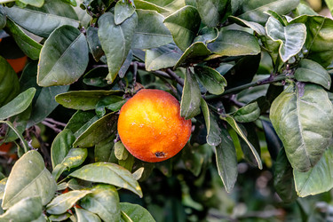 Similar image 21072964