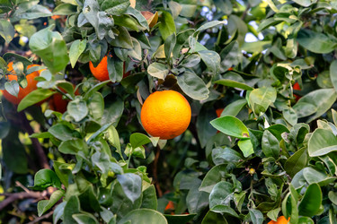 Similar image 21072965