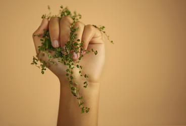 Similar image 21059906