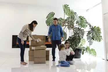 Similar image 21058979