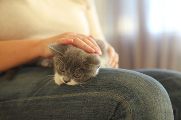 Similar image 21054376