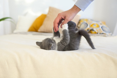 Similar image 21054456