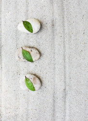 Similar image 21057433