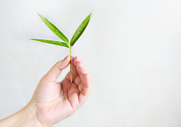 Similar image 21057518