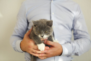 Similar image 21059934