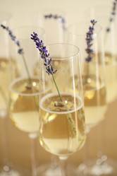 Similar image 21052952