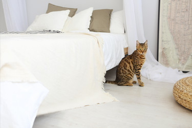 Similar image 21053195