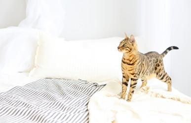 Similar image 21053196