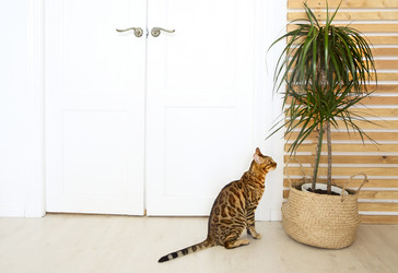 Similar image 21053197