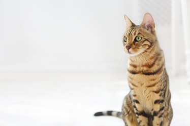 Similar image 21053199