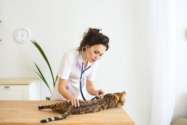 Similar image 21053386