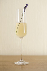 Similar image 21053388