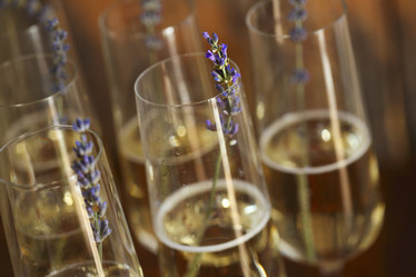 Similar image 21053389