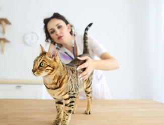 Similar image 21053402