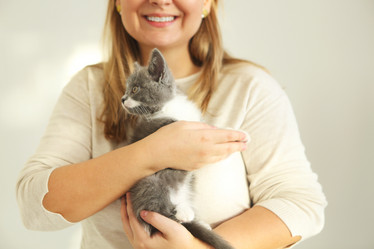 Similar image 21057718