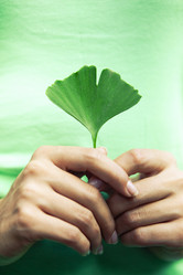 Similar image 21059062