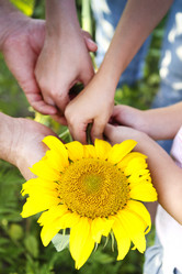 Similar image 21058829