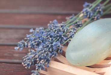 Similar image 21059079