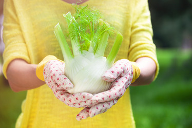 Similar image 21059797