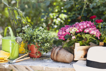 Similar image 21053405