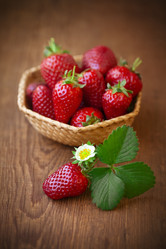 Similar image 21053429