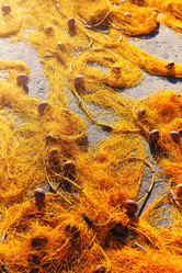 Similar image 21053431