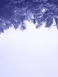 Similar image 21054543