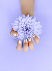 Similar image 21054544