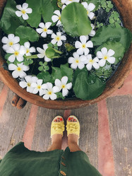 Similar image 21057676