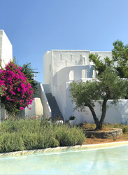 Similar image 21057739