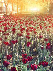 Similar image 21059130