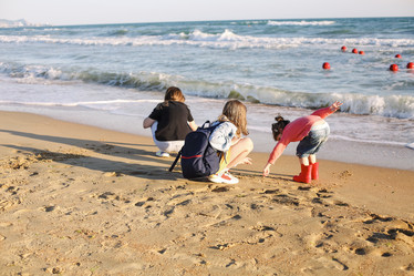 Similar image 21059865