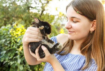 Similar image 21059979