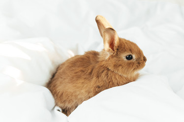 Similar image 21059980