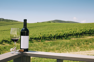 Similar image 21054596