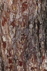 Similar image 21059159