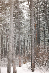 Similar image 21059161