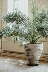 Similar image 21054619