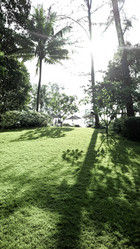 Similar image 21054626