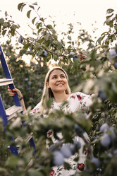 Similar image 21054628