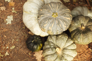 Similar image 21057413