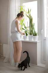 Similar image 21053108