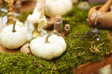 Similar image 21050197