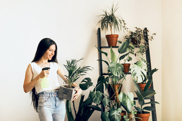 Similar image 21050220