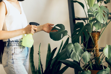 Similar image 21050222