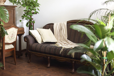 Similar image 21050252