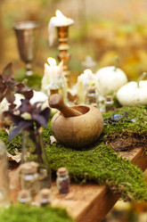 Similar image 21050287