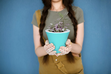 Similar image 21049899